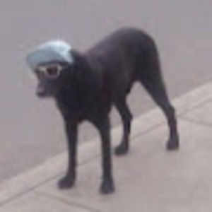 Meet your Posher, Erika